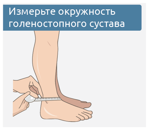 Ресурс 22.png Ресурс 22.png